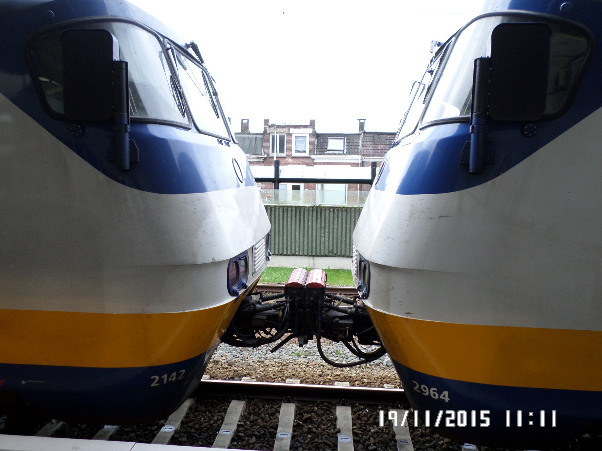 688a1fae409ea_1753882542.jpg